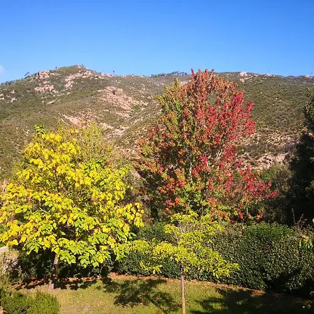 L'ogliastru 3*